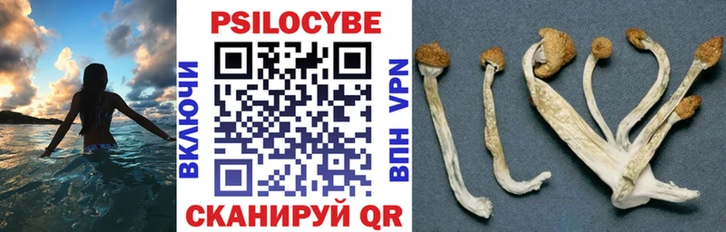 Псилоцибиновые грибы MAGIC MUSHROOMS  Краснотурьинск 